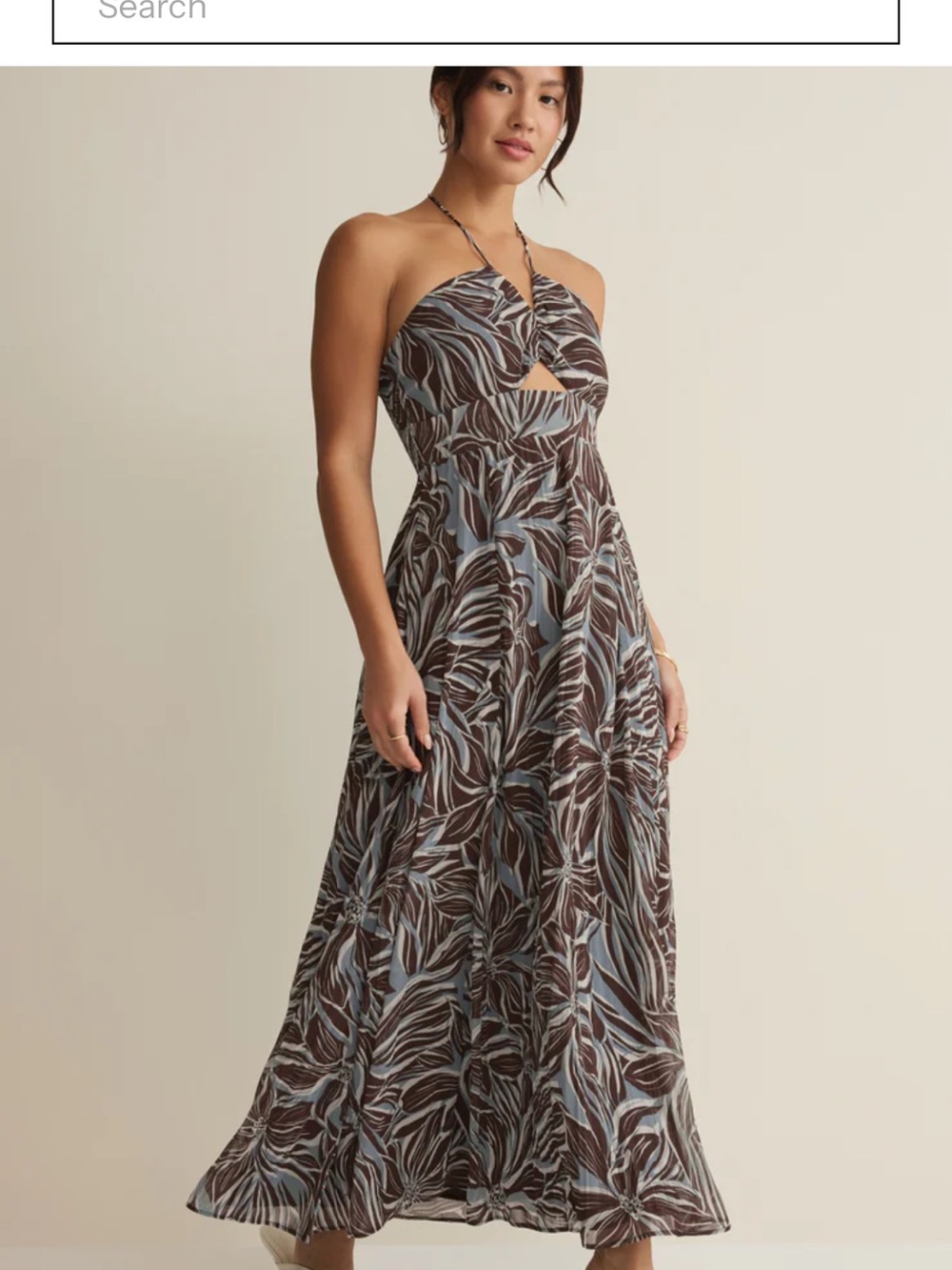 Z Supply Lanie Zinn Floral Maxi Dress - Brown & Light Blue - Picture 2 of 9
